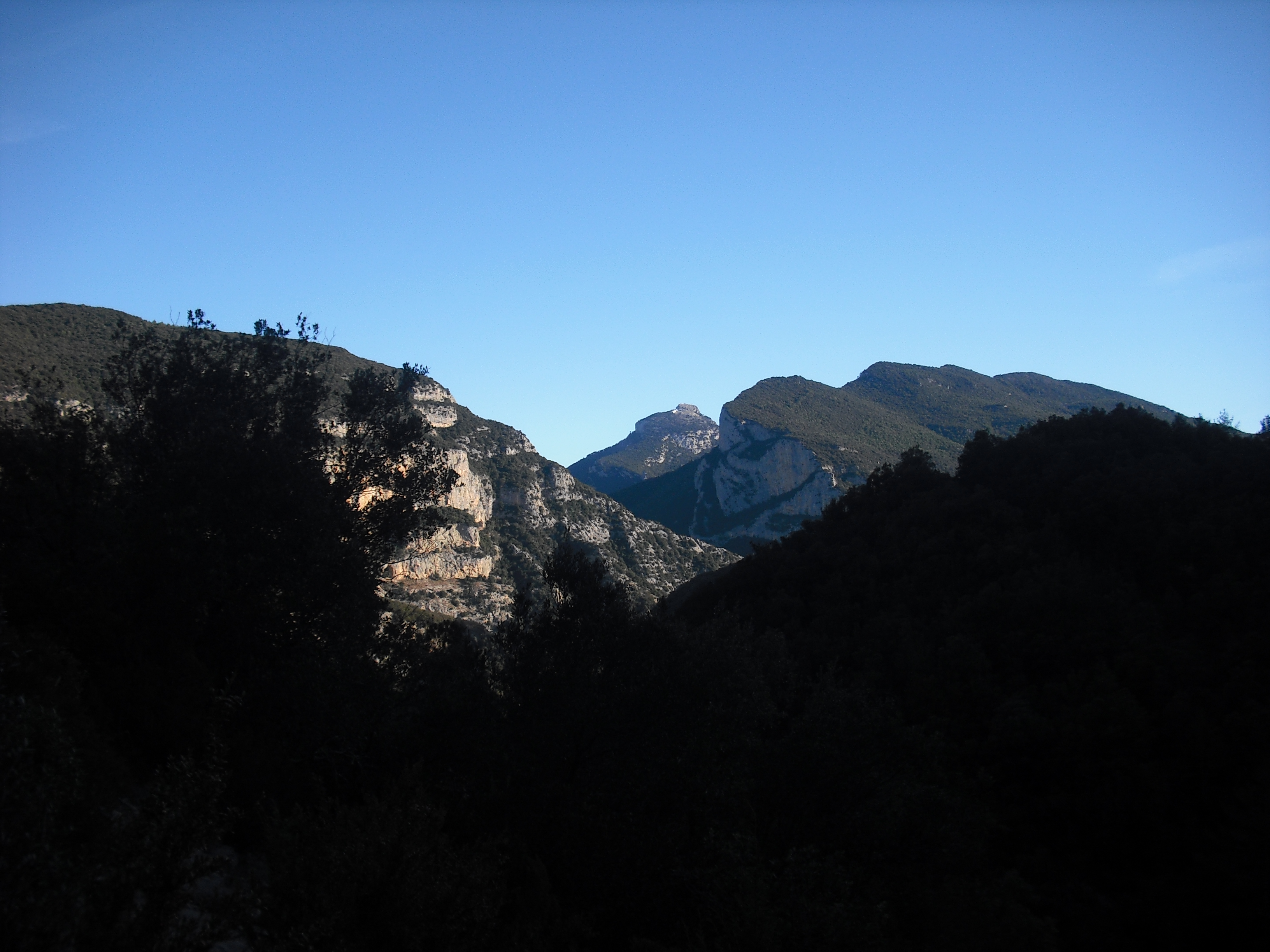 El Bassegoda de fons